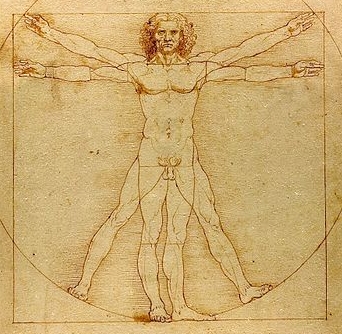 Da Vinci Vitruve Luc Viatour